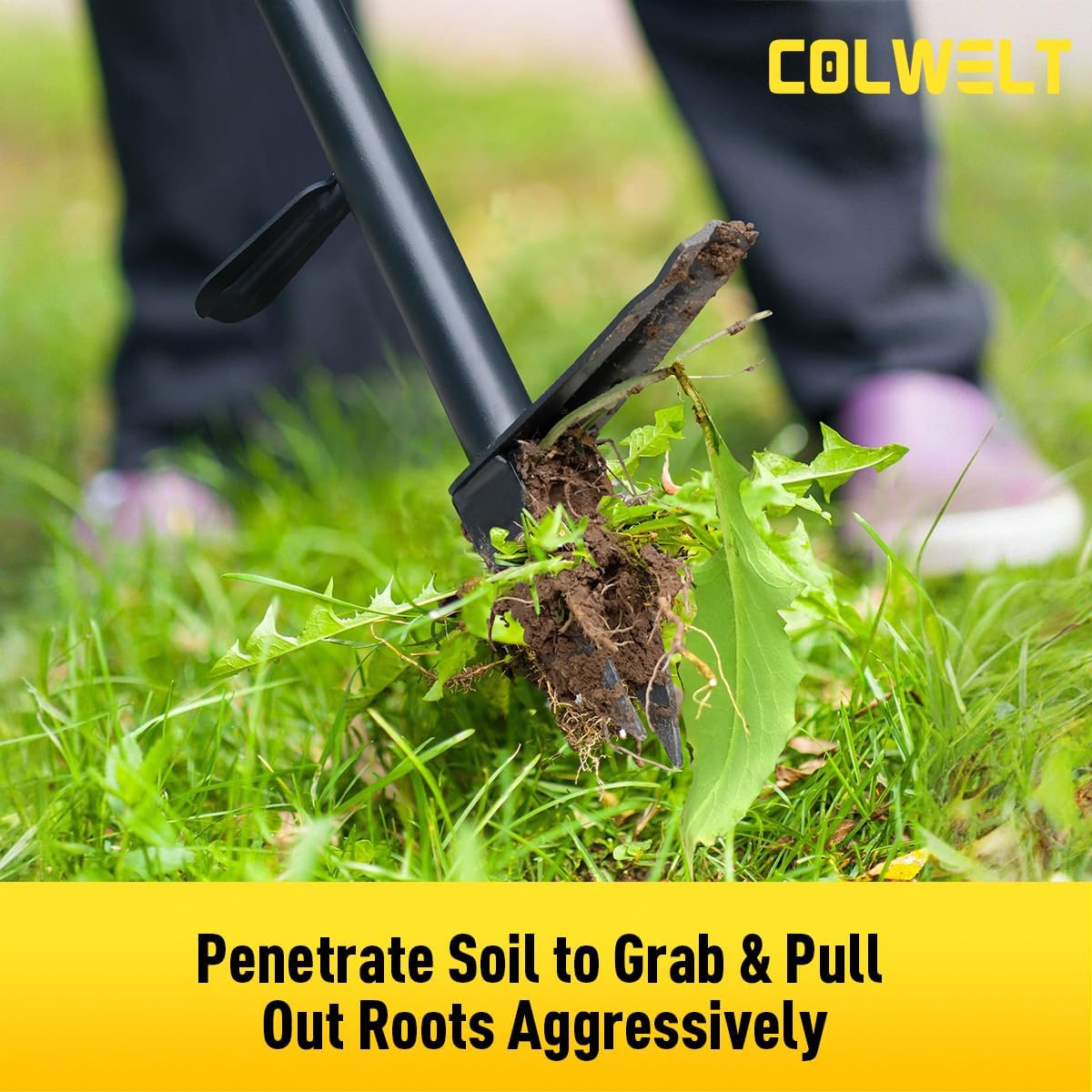 Colwelt Weed Remover Tool 39’’, Weed Puller Root Remover with Thick Steel Claw, Long Handled Weeding Tool with Easy Foot Ejector, Stand Up Garden Weeder Tool for Lawn Grass Dandelion Removal