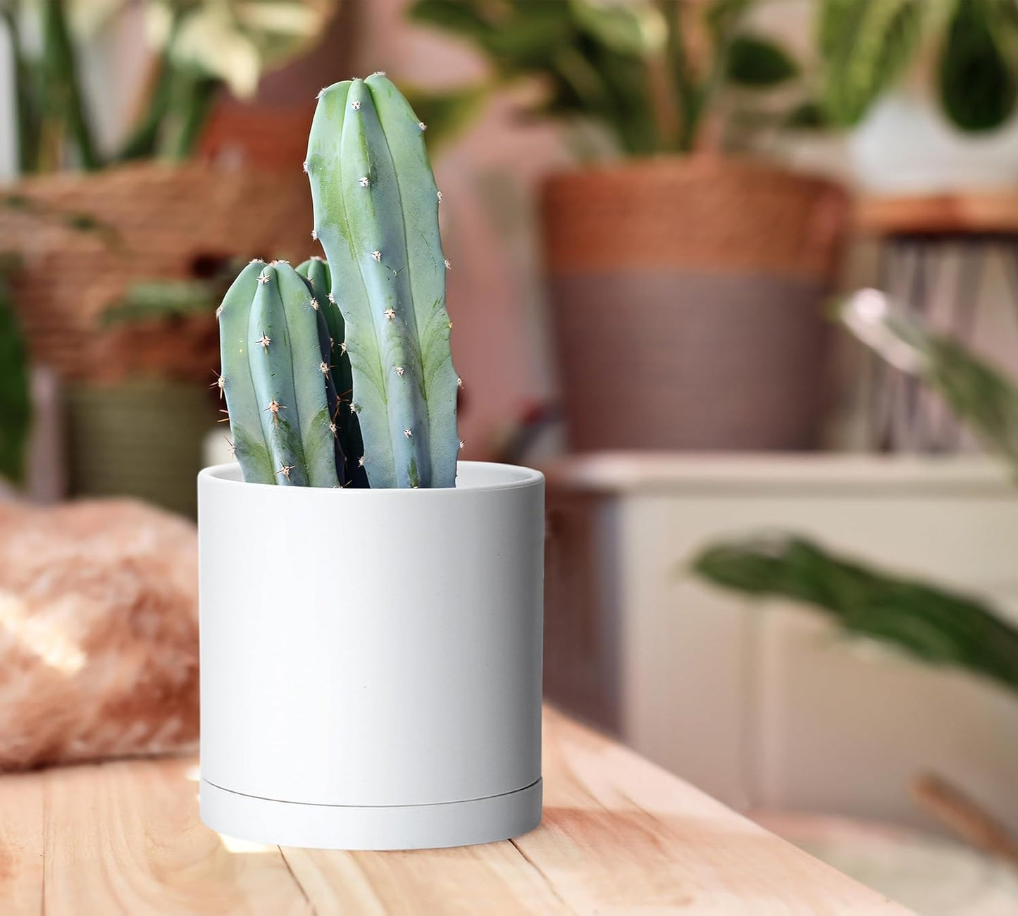 D'vine Dev 4 Pack 5.5 Inch Modern Plastic Plant Pots, Small Garden Planters for Plant with Drainage Holes and Saucers, White Color, 74-Z-H-2