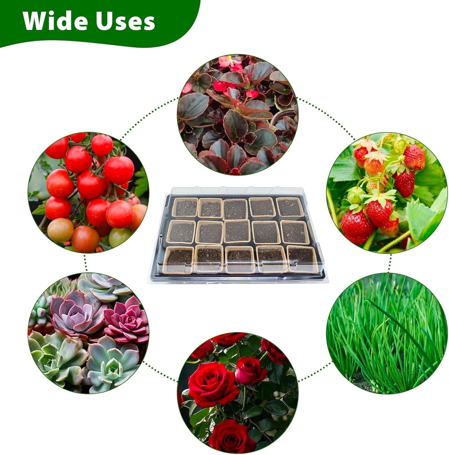 JOPY 4 Pack Seed Starter Tray Kit for Indoor Outdoor Garden Seeding Plastic Germination Trays with 120 Square Seed Peat Pots for Plant Growing