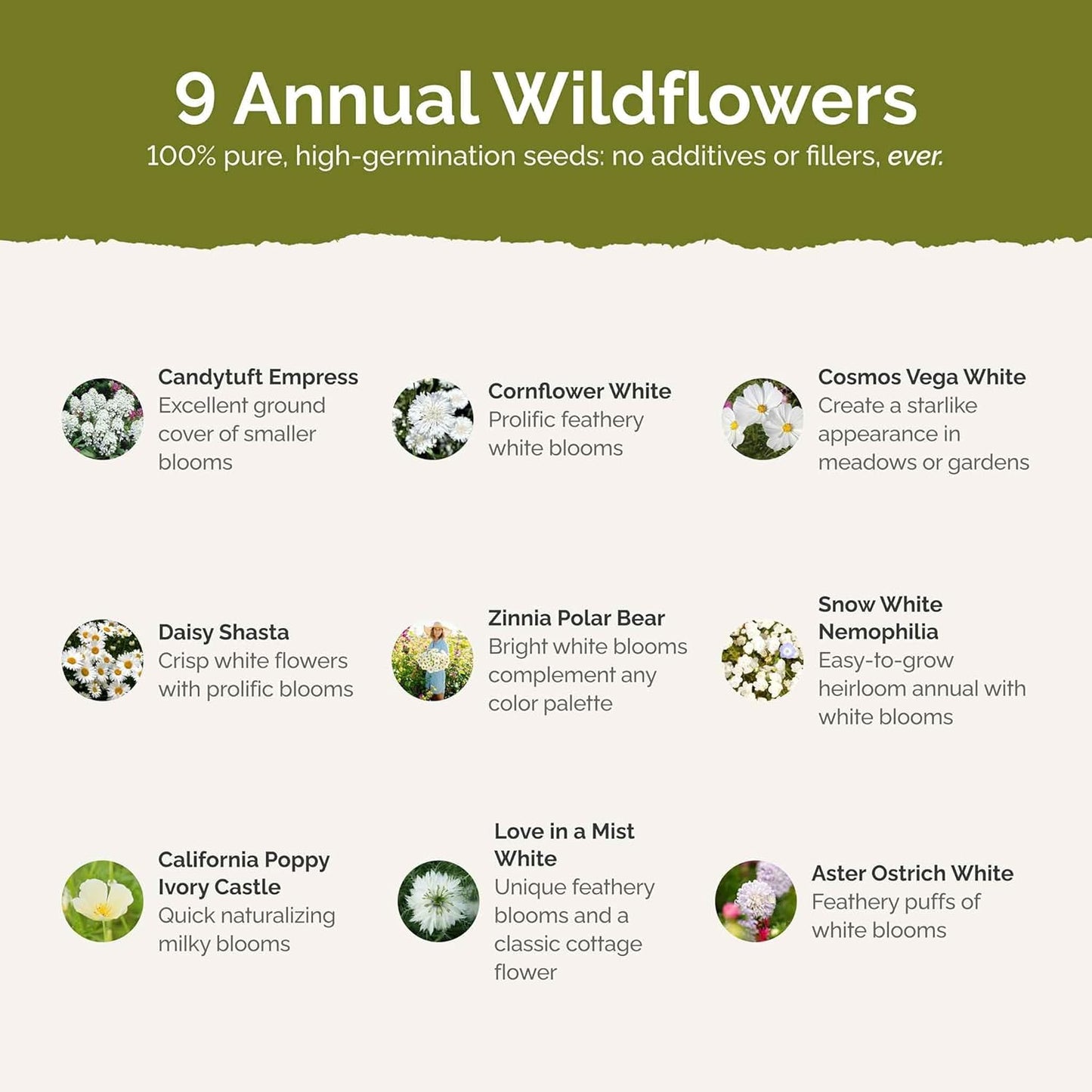 Eden Brothers Cloud 9 Flower Mixed Seeds for Planting, 1/4 lb, 120,000+ Seeds with White Candytuft, Cosmos Purity | Attracts Pollinators, Plant in Spring or Fall, Zones 3, 4, 5, 6, 7, 8, 9, 10