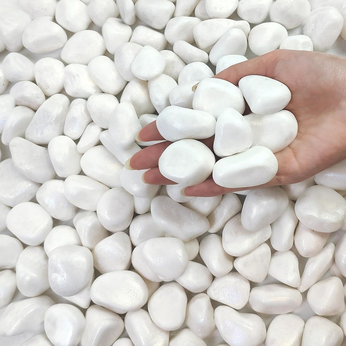 5 lbs White Pebbles for Indoor Plants, 1-2 Inch Small White River Rocks for Plants, Decorative Polished Stones for Landscaping Vase and Outdoor Garden