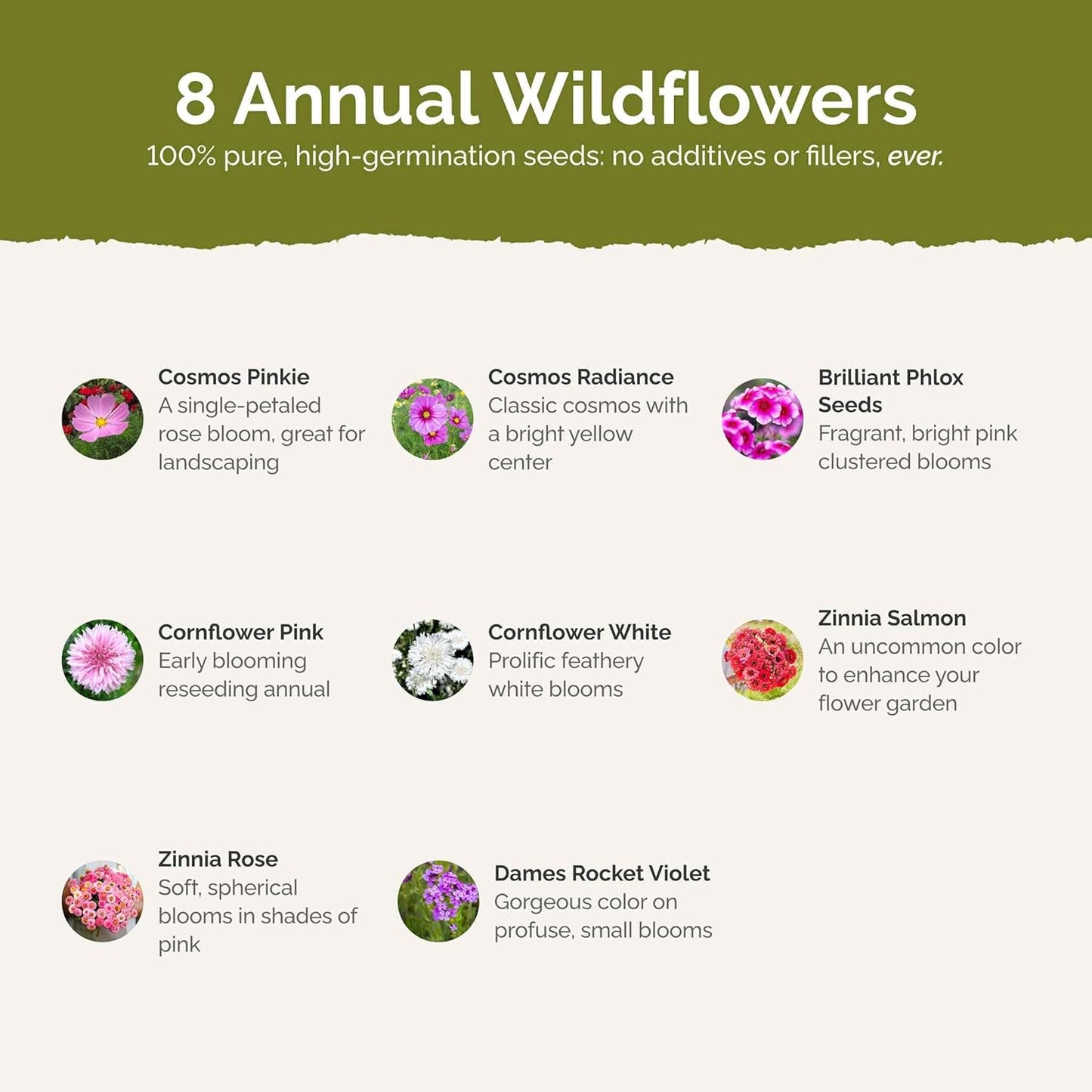 Eden Brothers Tickled Pink Flower Mixed Seeds for Planting, 1/4 lb, 120,000+ Seeds with Cosmos, Cornflower, Zinnia | Attracts Pollinators, Plant in Spring or Fall, Zones 3, 4, 5, 6, 7, 8, 9, 10