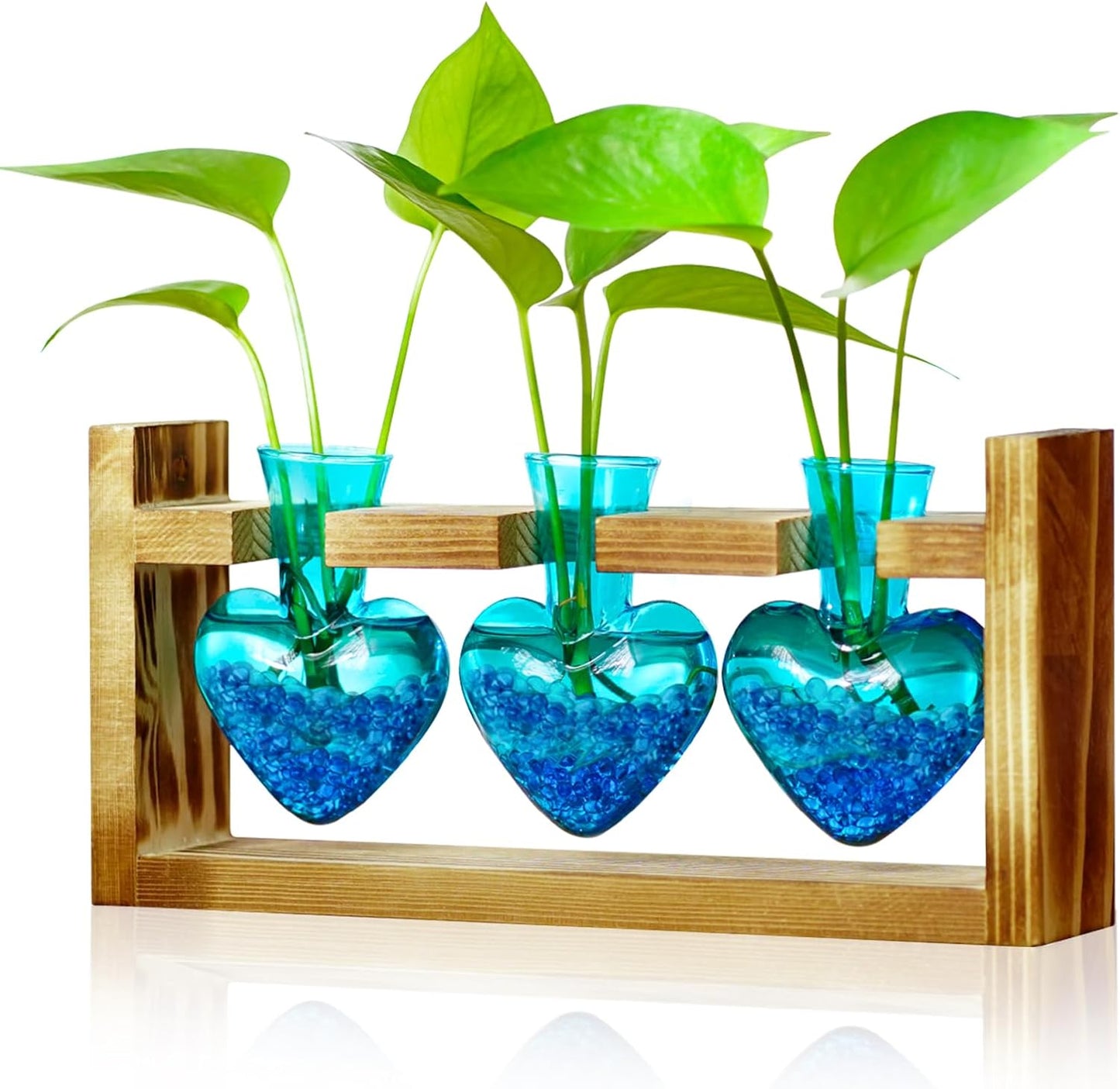Nacome Plant Terrarium for Office Decor: Birthday Gifts for Plant Lovers Women Mom Wife - Wooden Stand Tabletop Planter 3 Bulb Glass Vase Heart Shaped for Hydroponics Indoor Home
