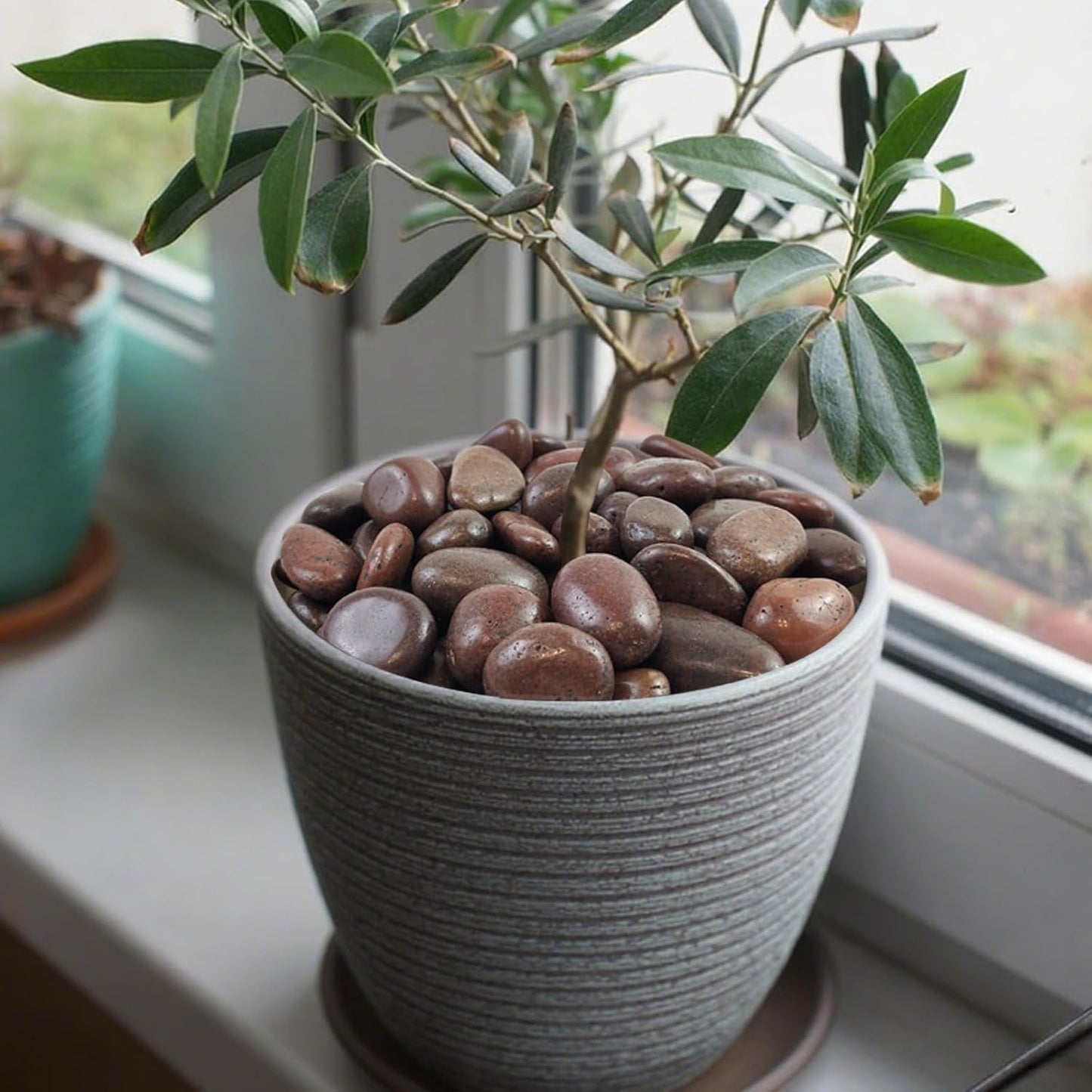 40 lbs Red River Rocks for Landscaping, 1-2 Inch Polished Pebbles for Indoor Plants, Decorative Rocks Stones for Vases, Aquariums, Fountains, Pathways, Backyard and Garden