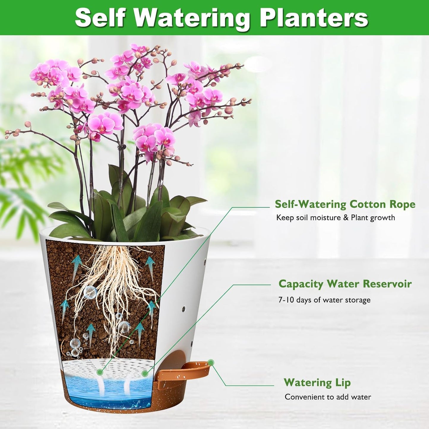 Orchid Pots with Holes, 6 Inch Self Watering Orchid Pot 3 Pack Plastic Plant Pots for Orchid, Flower (Multicolor)