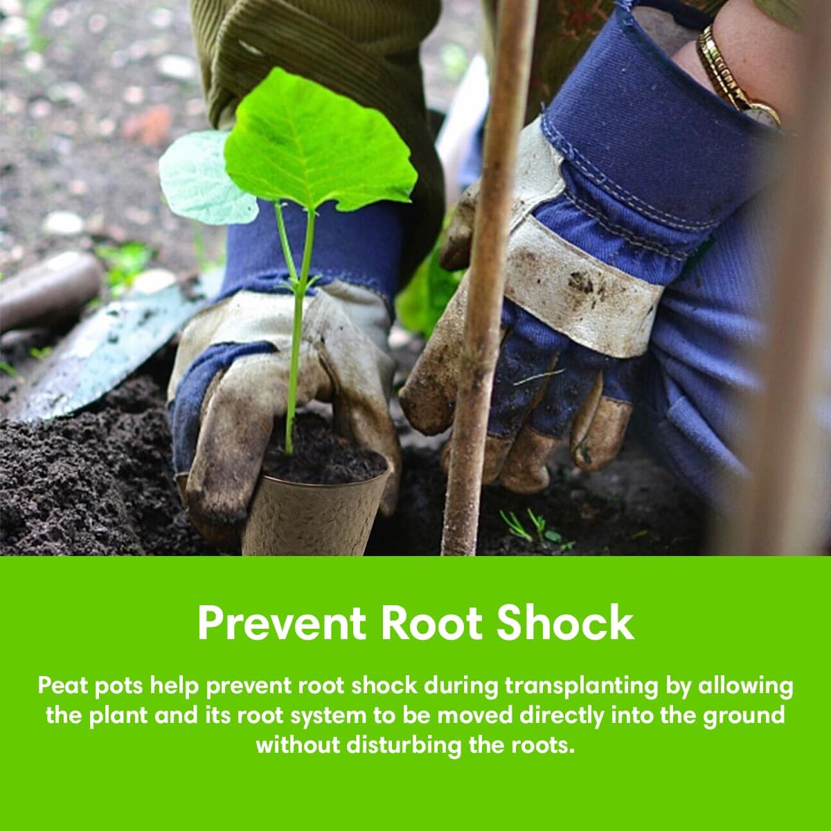 Seedling Starter Kit Germination Grow Cups and Soil (10 Pack) Biodegradable Peat Pots, Coco Coir Soil Discs, Plant Markers - Organic Grow Kit for Seed Germination, Indoor/Outdoor (1)