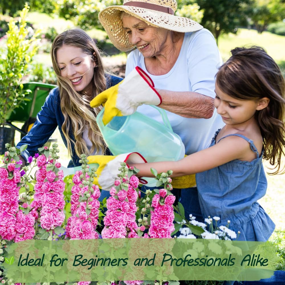 Premium Rare Hollyhock Seeds – 100+ Double Pink Hollyhock Flower Seeds – Non-GMO, Heirloom Perennial – Showy Blooms for Outdoor Planting (Double Pink Hollyhock)