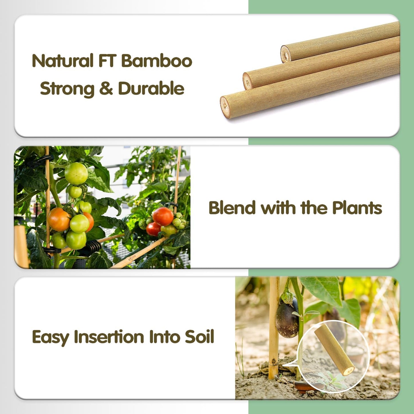 Bamboo Stakes,4.8FT Natural Bamboo Garden Stakes,BOVITRO 20Pcs Plant Stakes,Bamboo Sticks for Tomato,Beans,Vegetable and Climbing Plants