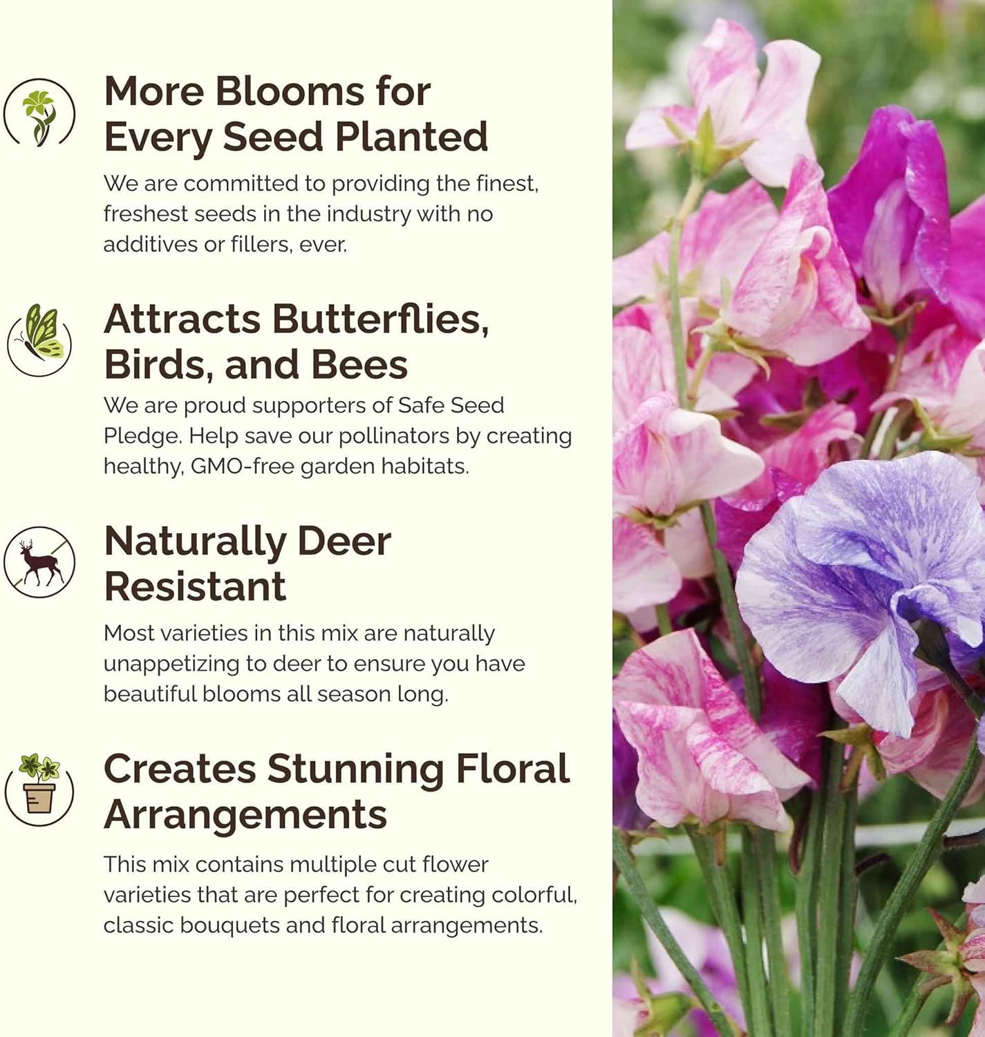 Eden Brothers Colorful Climbers Flower Mixed Seeds for Planting, 1/4 lb, 120,000+ Seeds with Morning Glory, Sweet Pea | Attracts Pollinators, Plant in Spring or Fall, Zones 3, 4, 5, 6, 7, 8, 9, 10