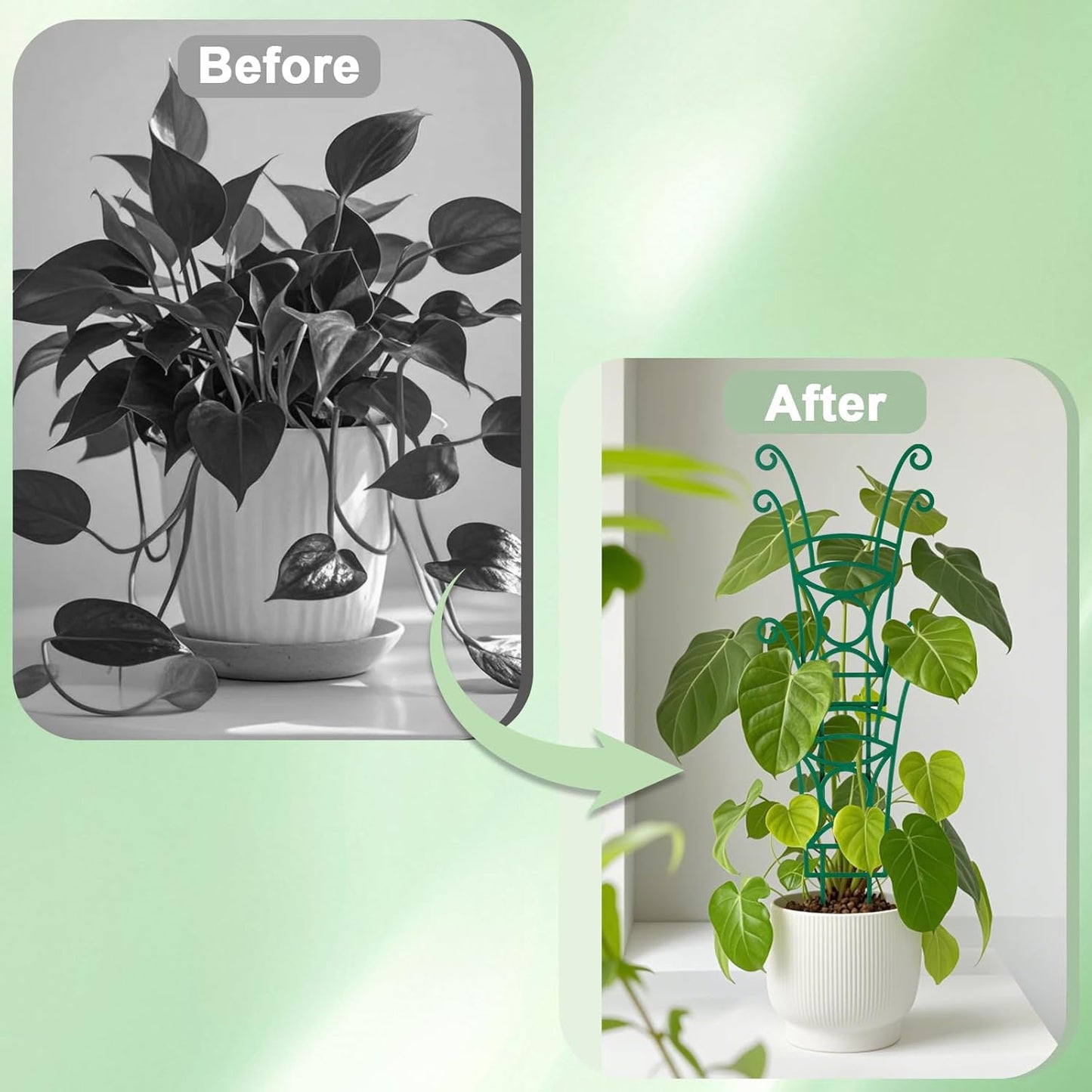 12 Pack Stackable Plant Trellis for Potted Plants, Garden Trellis Supports Peas, Ivy & Flowering Vines, Plastic Climbing Plant Support (Green)