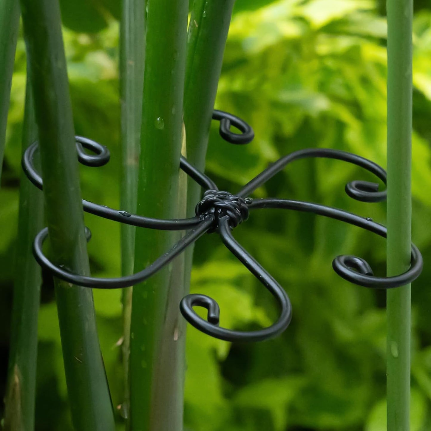 Monstera Plant Support Hook - 4.1x4.1IN 5PCS, Durable Adjustable Stem Support System, Gentle Protection for Monstera and Fishbone Cactus, Professional Indoor Plant Stabilizer