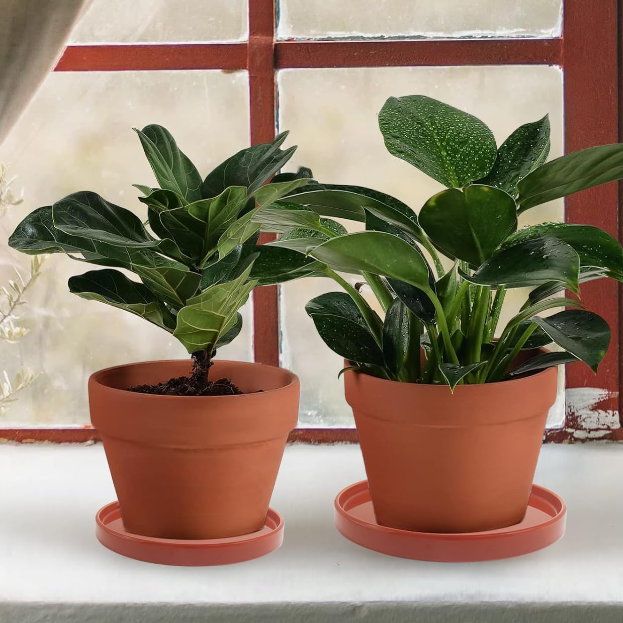 2 Pack Ceramic Plant Saucer Pot Tray 6 Inch Terracotta, Planter Saucers 6 7 8 9 10 11 12 15 Inch, Durable Sturdy Flower Drainage drip Water Tray for Glazed Pots Base (6.4 Inch- Red Terracotta)