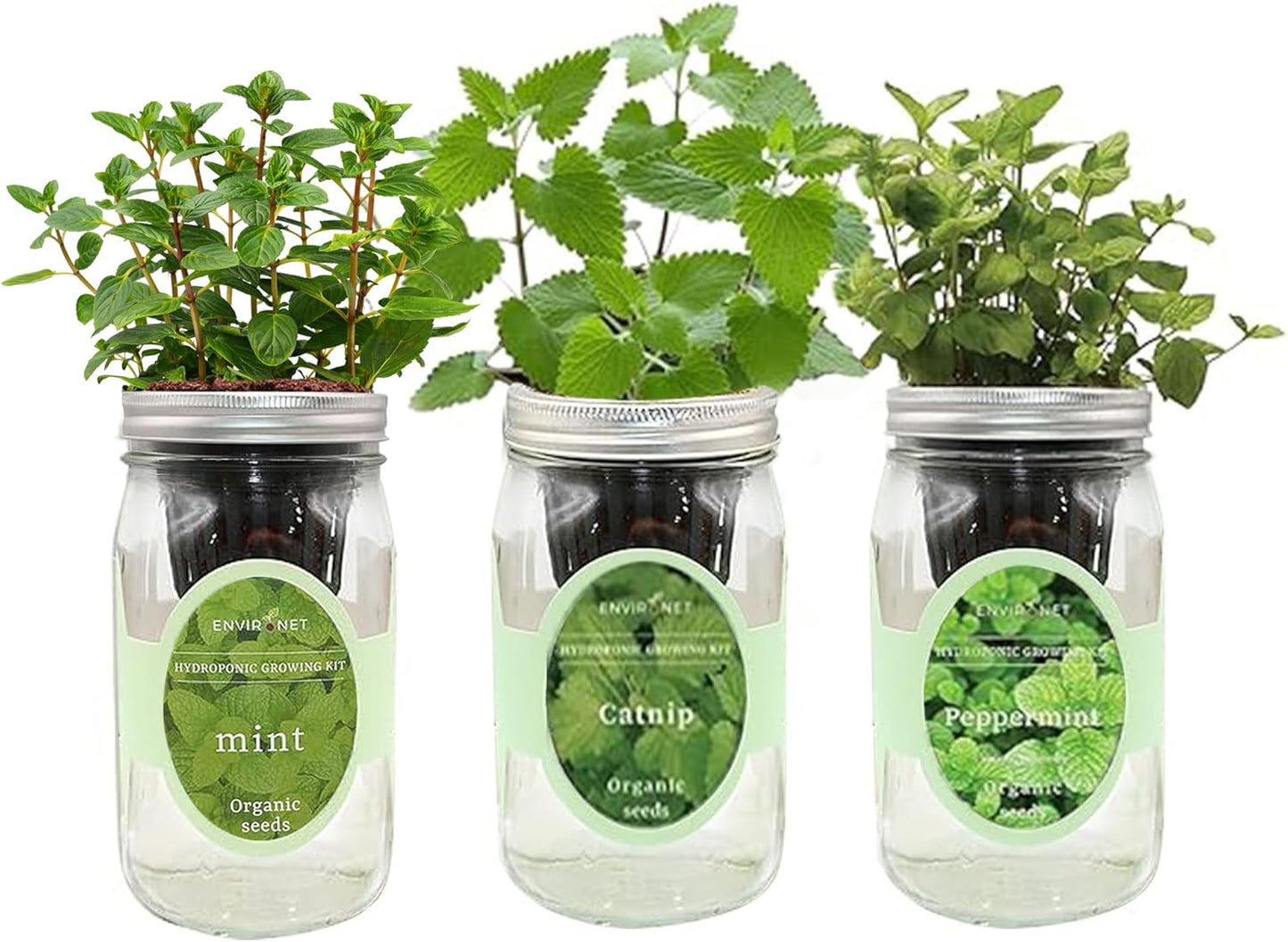 Hydroponic Herb Growing Kit Set, Self-Watering Mason Jar Herb Garden Starter Kit Indoor, Grow Your Own Herbs from Seeds (Mint, Peppermint & Catnip)
