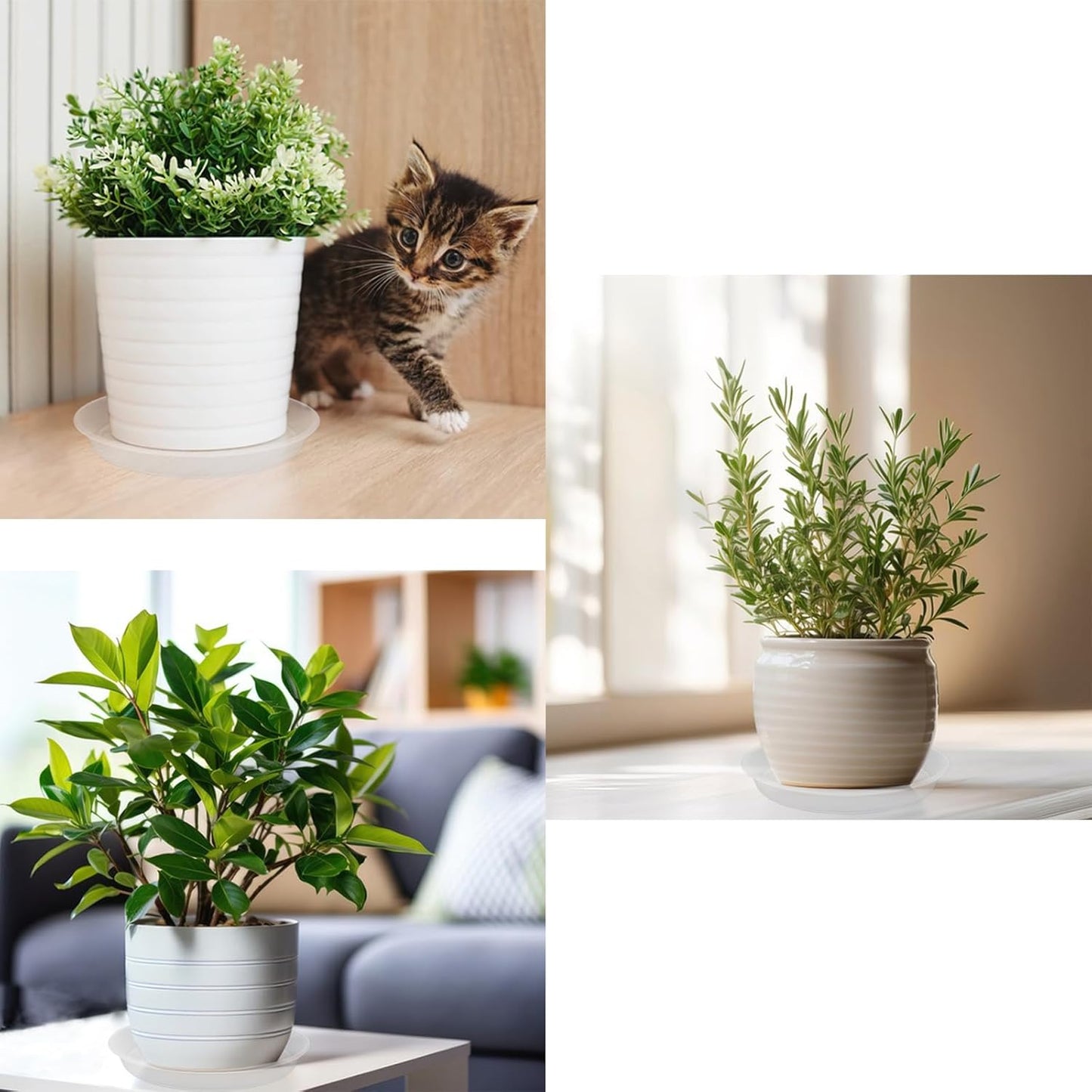 TITE Plant Saucer Heavy Large Planter Durable Thicker Plastic Plant Trays for Indoors and Outdoor,Plant Saucer Drip Trays (Transparent, 14 inch)