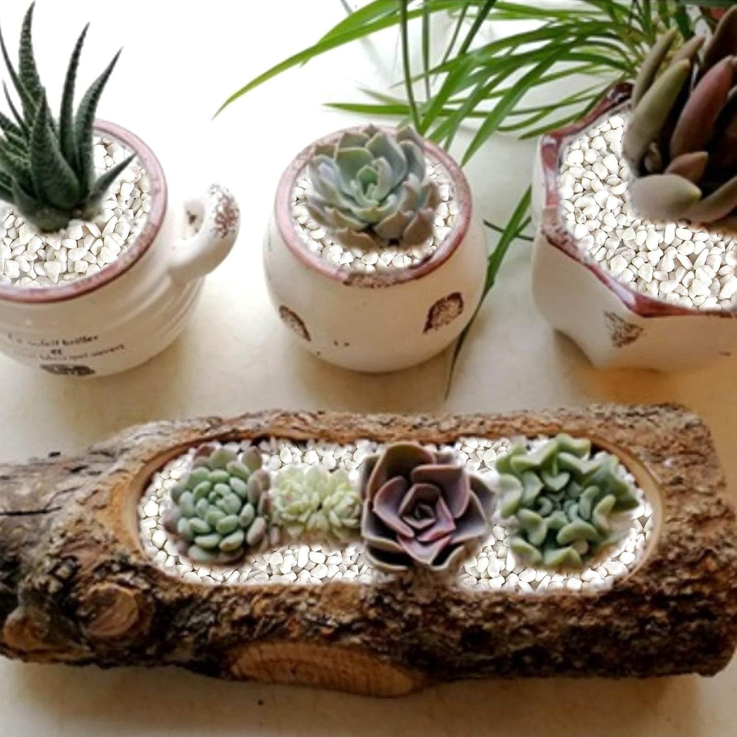 HappyFiller Polished 18 LB 1/2" White Matted Pebbles for Outdoor Garden Landscape Pave Walkway Small Rocks,Indoor Plants Succulents Cactus,Aquarium,Vase Fillers,Cultivation Hydroponic Stone,Zen