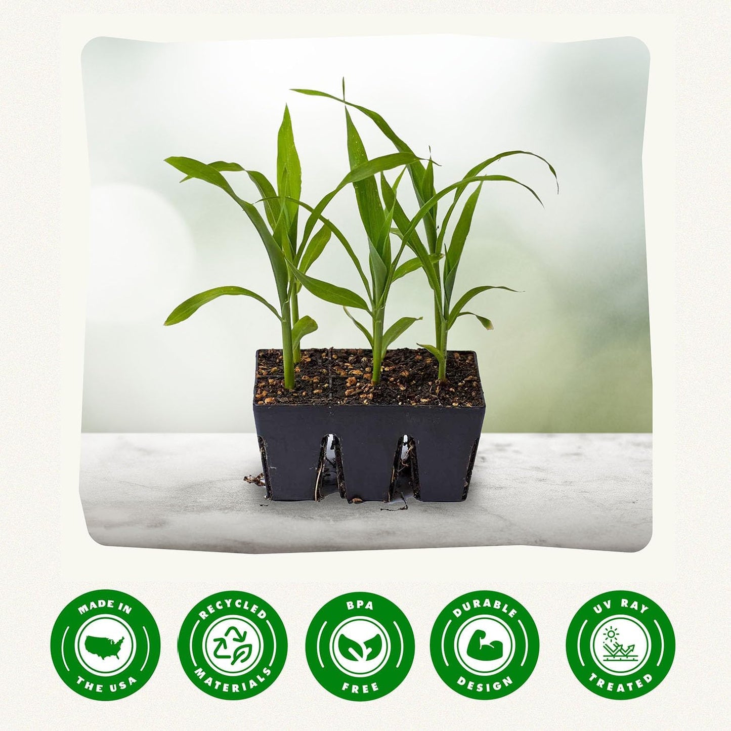 Epic Gardening Reusable Seed Starter Tray - 6 Cell/6 Seedling Starter Trays - Easy Watering, Indoor Greenhouse, Plant Starter, Gardener-Friendly for Seedlings | UV-Treated & BPA-Free - Black