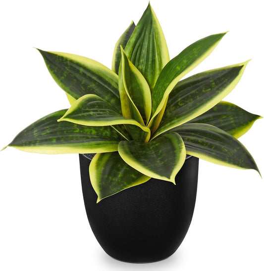Hollyone Artificial Snake Plants 9" Faux Agave Succulent Plant Potted in Black Pot Fake Sansevieria Aloe Tropical Plant for Desk Modern Office Home Bathroom Indoor Outdoor Decor