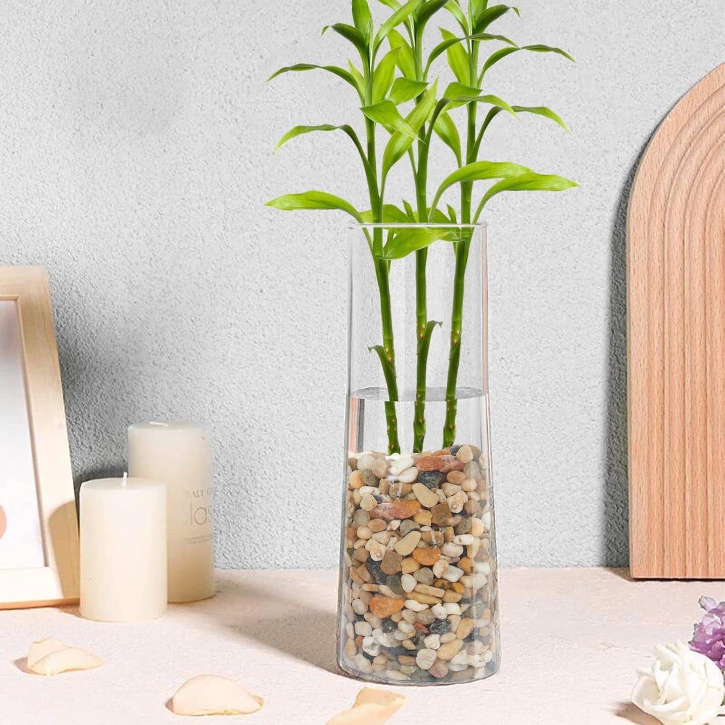 GASPRO 2.5 Pound Pebbles for Indoor Plants, 3/8 Inch Decorative Rocks for Vase, Succulents, Highly Polished, Mixed Color