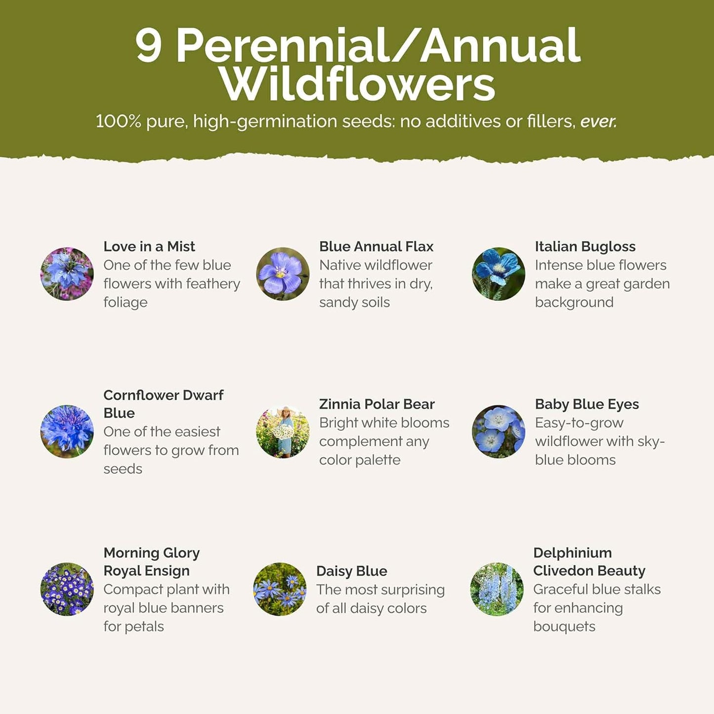 Eden Brothers Blue Ribbon Flower Mixed Seeds for Planting, 1/4 lb, 120,000+ Seeds with Blue Bell, Cornflower Blue, Chicory, Attracts Pollinators, Plant in Spring or Fall, Zones 3, 4, 5, 6, 7, 8, 9, 10