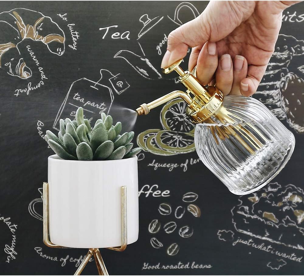 Glass Plant Mister Spray Bottle, Vintage Plant Water Spritzer, Succulent Watering Bottle with Gold Top Pump, Decorative Glass Sprayer Mister Small Watering Can for Indoor Houseplant - Clear