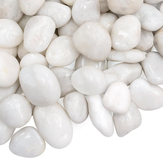 5lbs Large Pebbles for Indoor Plants, 2-3 Inch Natural White River Rocks for Aquarium, High Polished Decorative Stones for Vase Filler Fish Tank Landscaping Garden