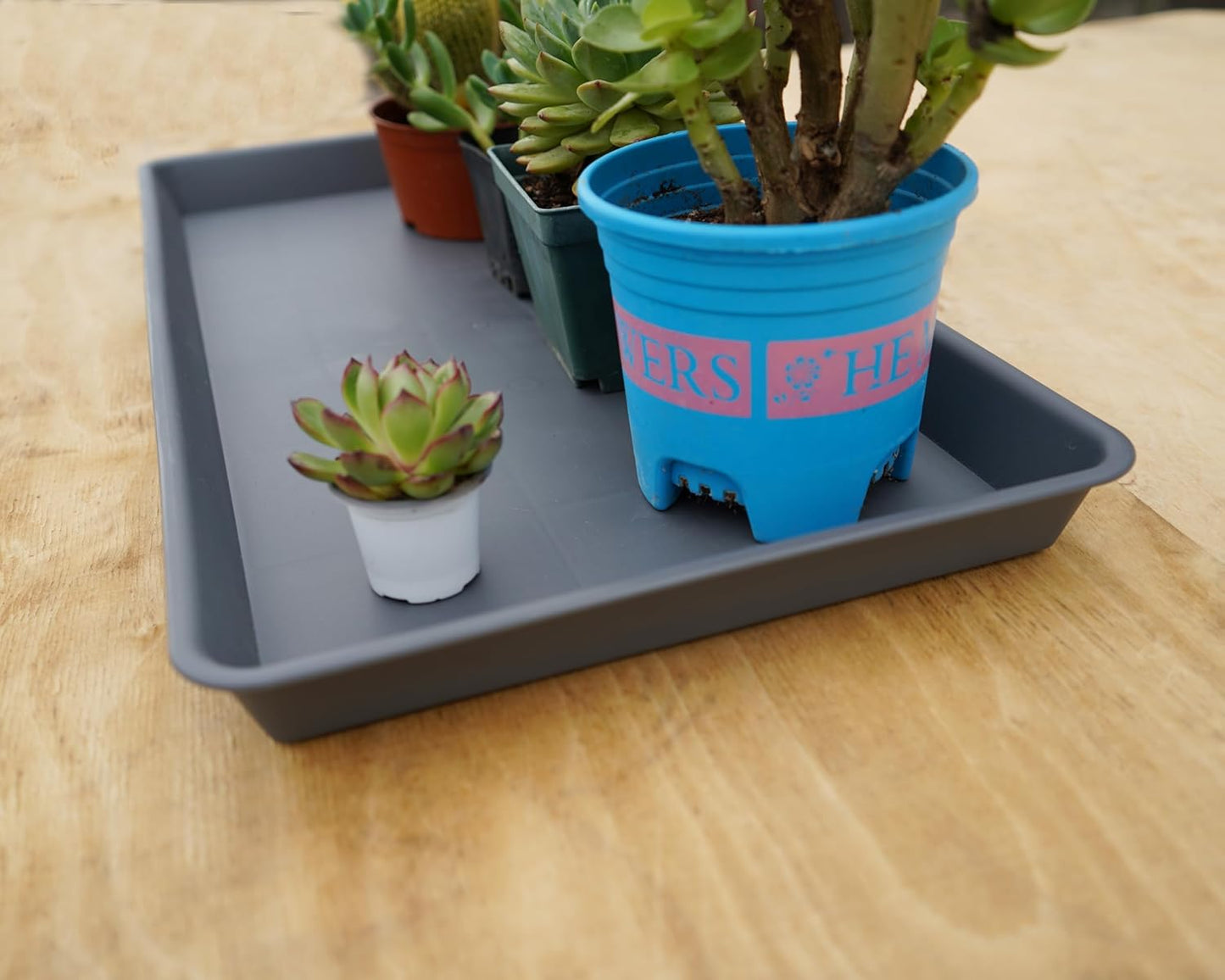 Rectangle Plant Tray, Plant Drip Tray, Plant Pot Saucers, Plant Germination Trays, Plant Saucers, 14.5'' x 11'' x 1.5'' (2 pack), Gray