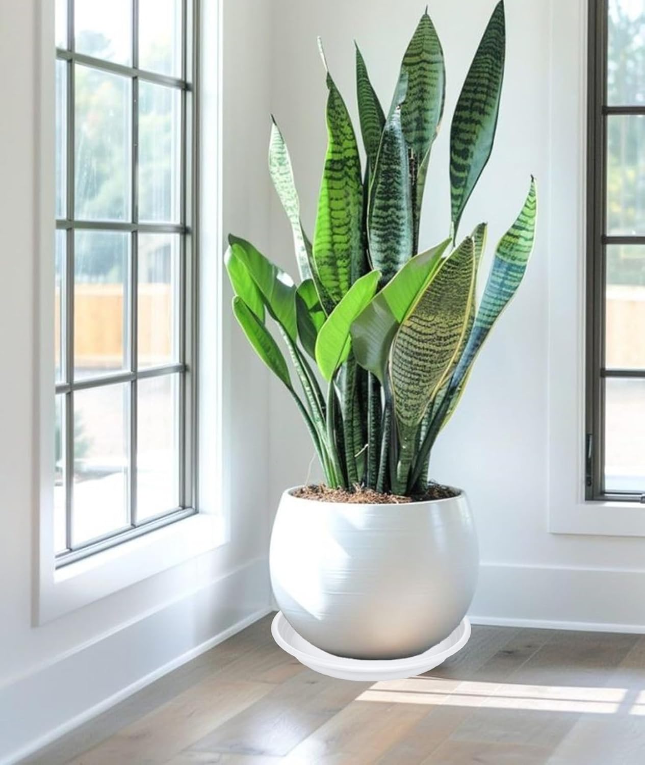 2 Pack of 19 inch Plant Saucer, Large Plant Tray, Heavy Sturdy Plant Drainage Tray for Indoors, Bird Bath Bowls, Sturdy 18 inch Plastic Pot Tray for Planter (White)