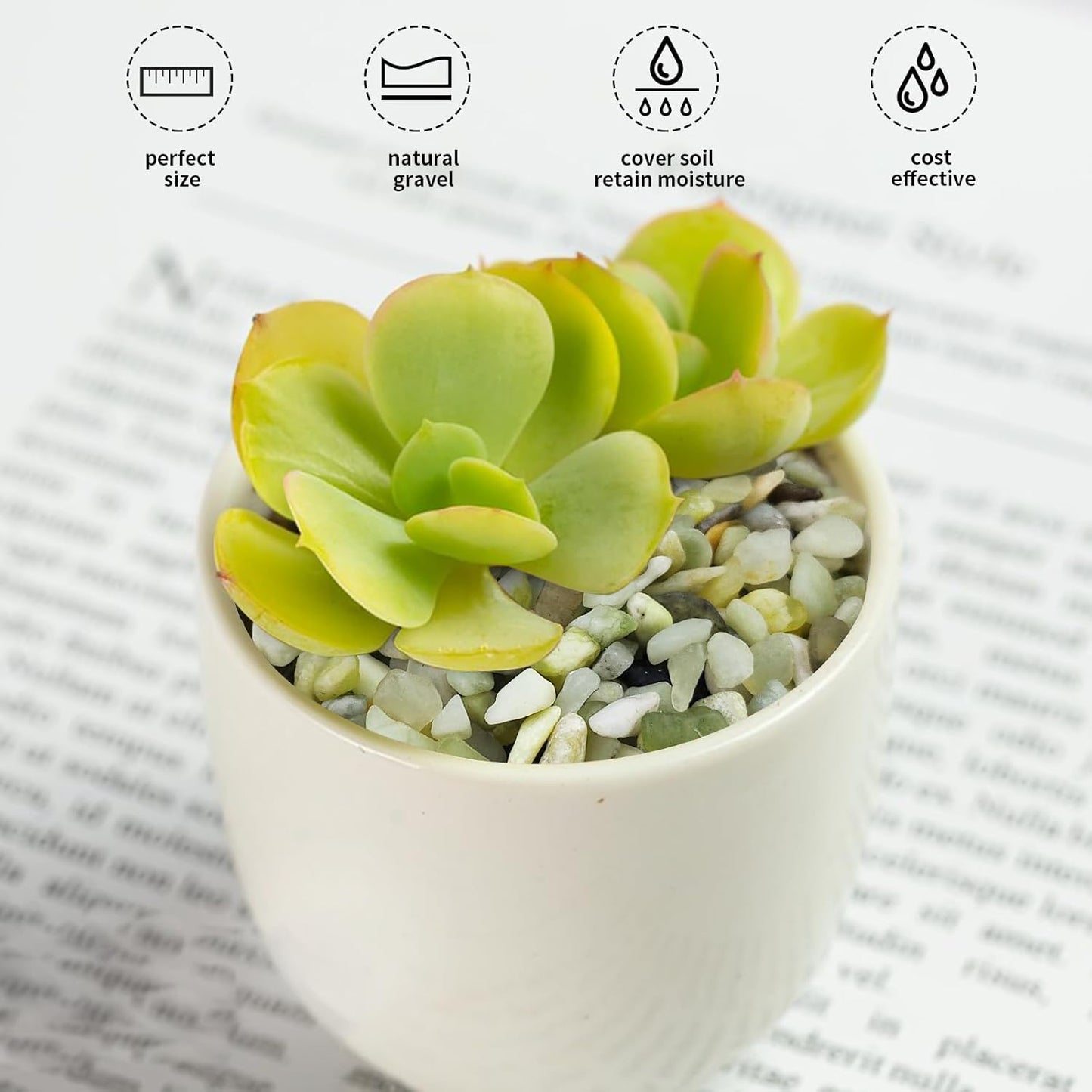 Jade Pebbles for Indoor Plants,1/4 Inch (3-6 MM) Polished Green Pea Gravel Small Rocks for Plants, Succulents, Cactus, Vases, Terrarium