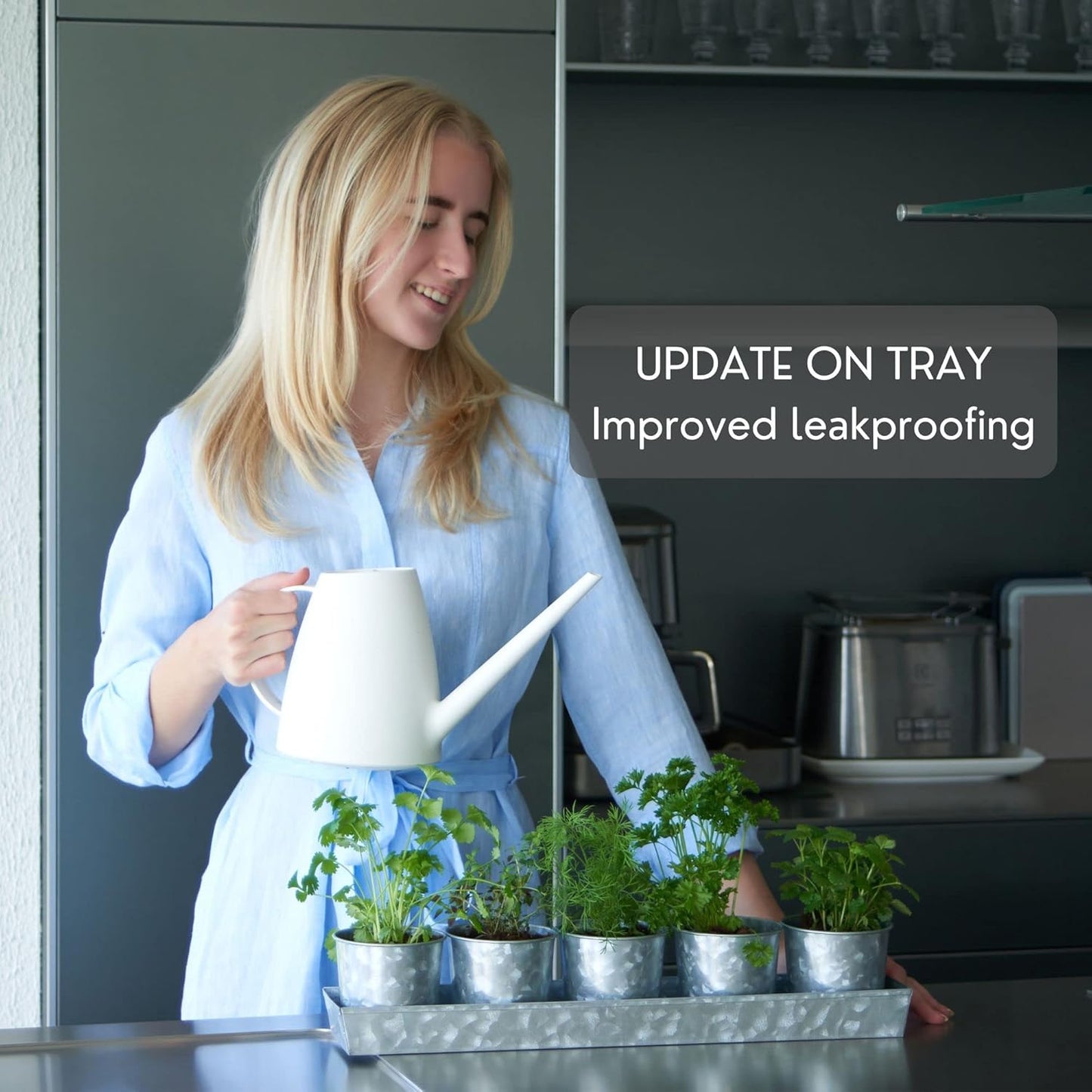 SCANDINORDICA Galvanized Metal Herb Planter, 5 Pots with Drainage Holes, Indoor Outdoor Use, Farmhouse Decor, 19.5x3.9x3.5 inches