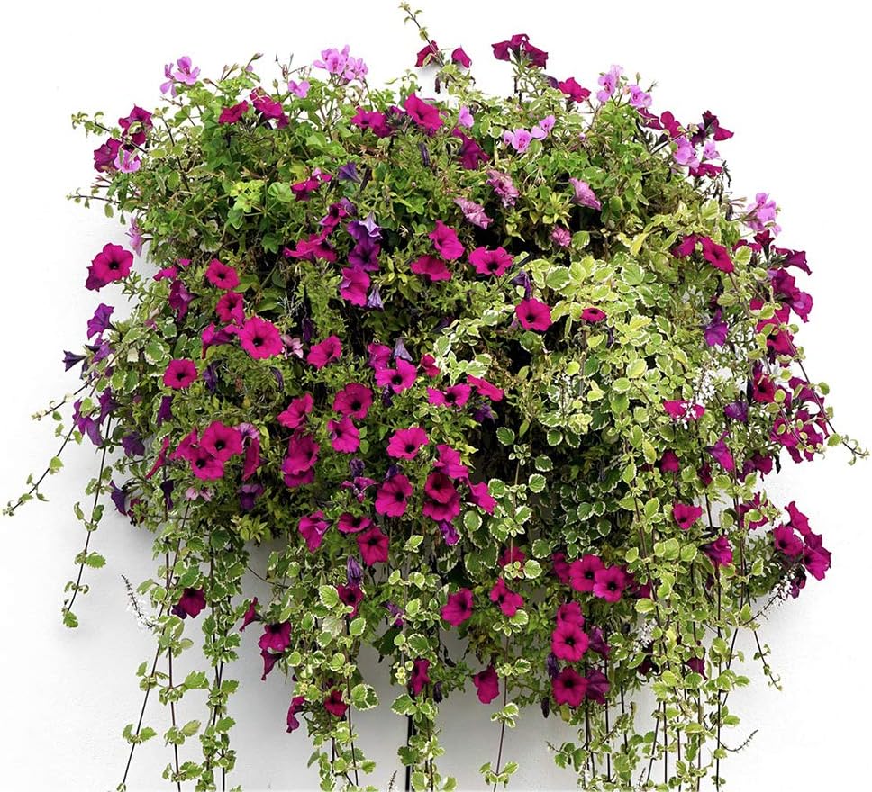 14 inch Coco Liner for Planters, 2PCS Half Round Replacement Plant Basket Liners Coco Fiber Liner for Hanging Basket Wall Flower Basket, Half Circle Wall Planter