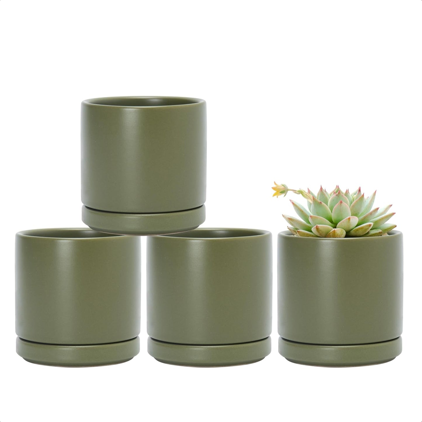 D'vine Dev Set of 4 Small Ceramic Plant Pots, 3.5 Inch Succulent Planter Pot for Plants with Drainage Hole and Saucer, Olive, 94-X-A-0
