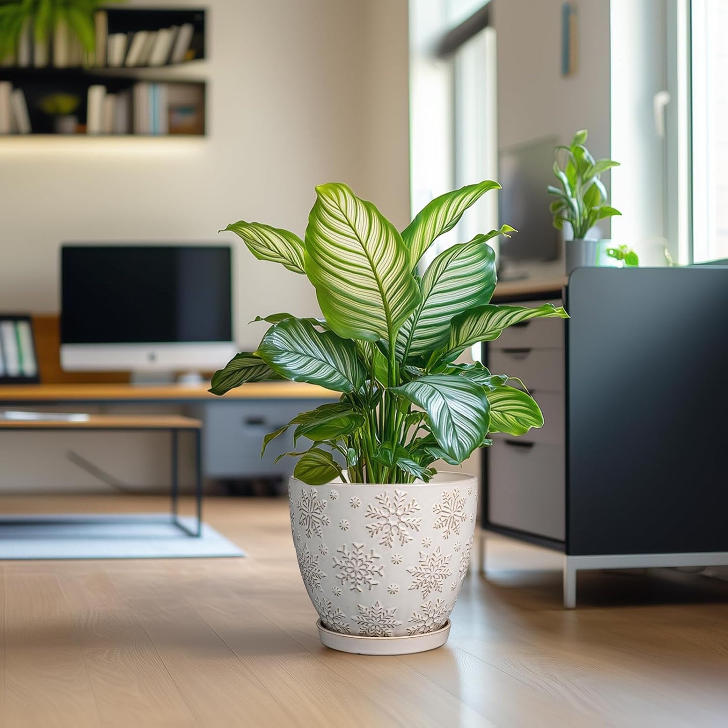 10 Inch Ceramic Planter Pot Large Plant Pot for Indoor Plants Outdoor Round Flower Pot with Drainage Hole and Saucer for Home Garden Decor White