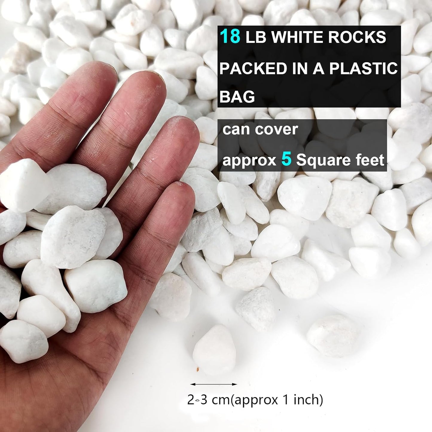 HappyFiller 18 LB White Gravels Small Terrarium Rocks Stones for Bamboo,Cactus,Vase Fillers,Succulents Plants,Landscaping,Aquarium,Zen Garden,1 Inch