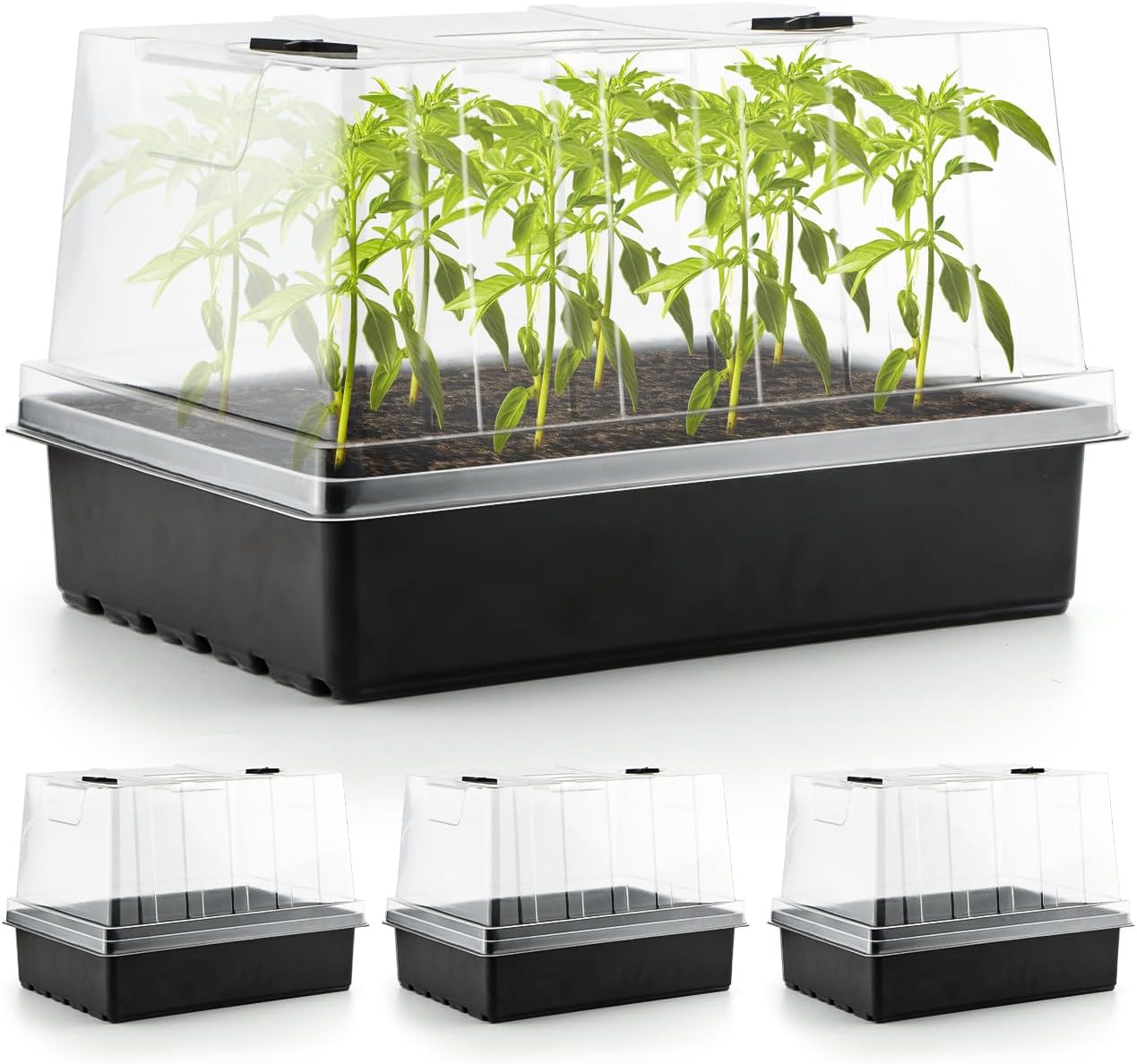 4-Pack Seed Starter Trays with 5'' Tall Humidity Domes – Reusable Plant Germination Kit for Microgreens, Herbs & Indoor Gardening | Clear Vented Lids, Fast Seedling Growth & Durable Design