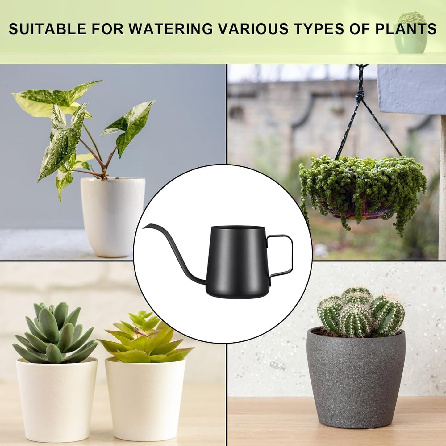 12 oz / 350 ml Watering Can Indoor Plants, Stainless Steel Plant Watering Can with Long Spout (Black) (12oz)