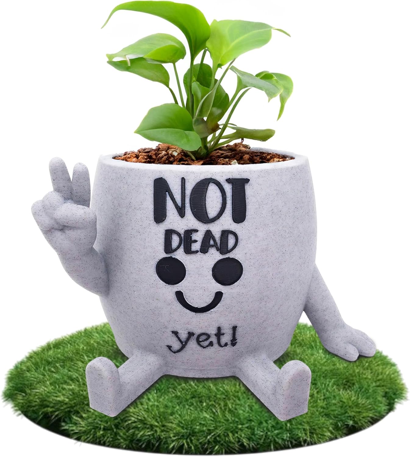 Funny Face Indoor Head Planter Pot, 3D Printed, Unique Small Succulent Flower Pot, Cute Cactus Planter, Indoor Home Decor, Office Desk Plant Pot, Novelty Gardening Gift Set