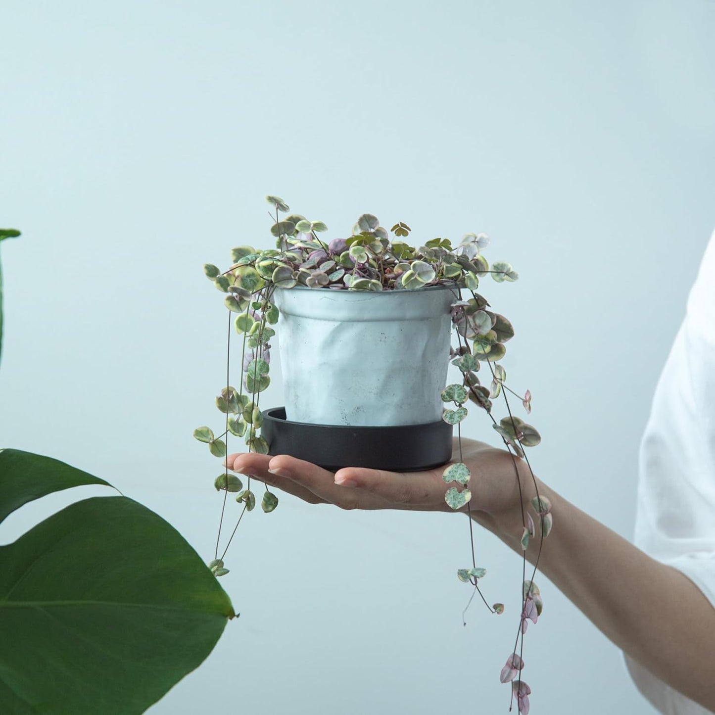 Phoenix Vine 4 Inch Plastic Plant Saucer Water Drip Tray, Heavy Sturdy Round Plant Drainage Tray for Indoors Outdoor, Set of 4, Matte Black, 21-TY-4B-4