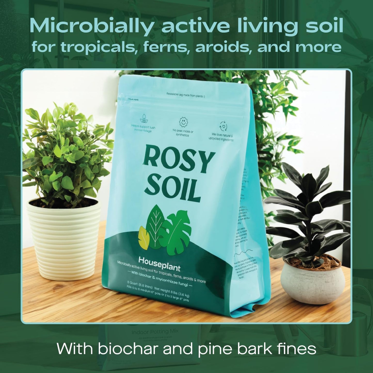 Rosy Soil Cactus and Succulent Potting Soil Mix (4 qts) + Indoor Potting Soil (8 qts) - Peat Free House Plant Soil - Potting Soil Mix for Indoor Plants