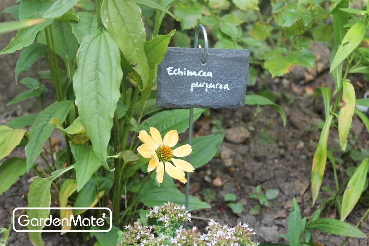 GardenMate 10-Pack Natural Style Slate Plant Labels (4"x 2 3/4") Hanging from a Stainless Steel Metal Rod (22")