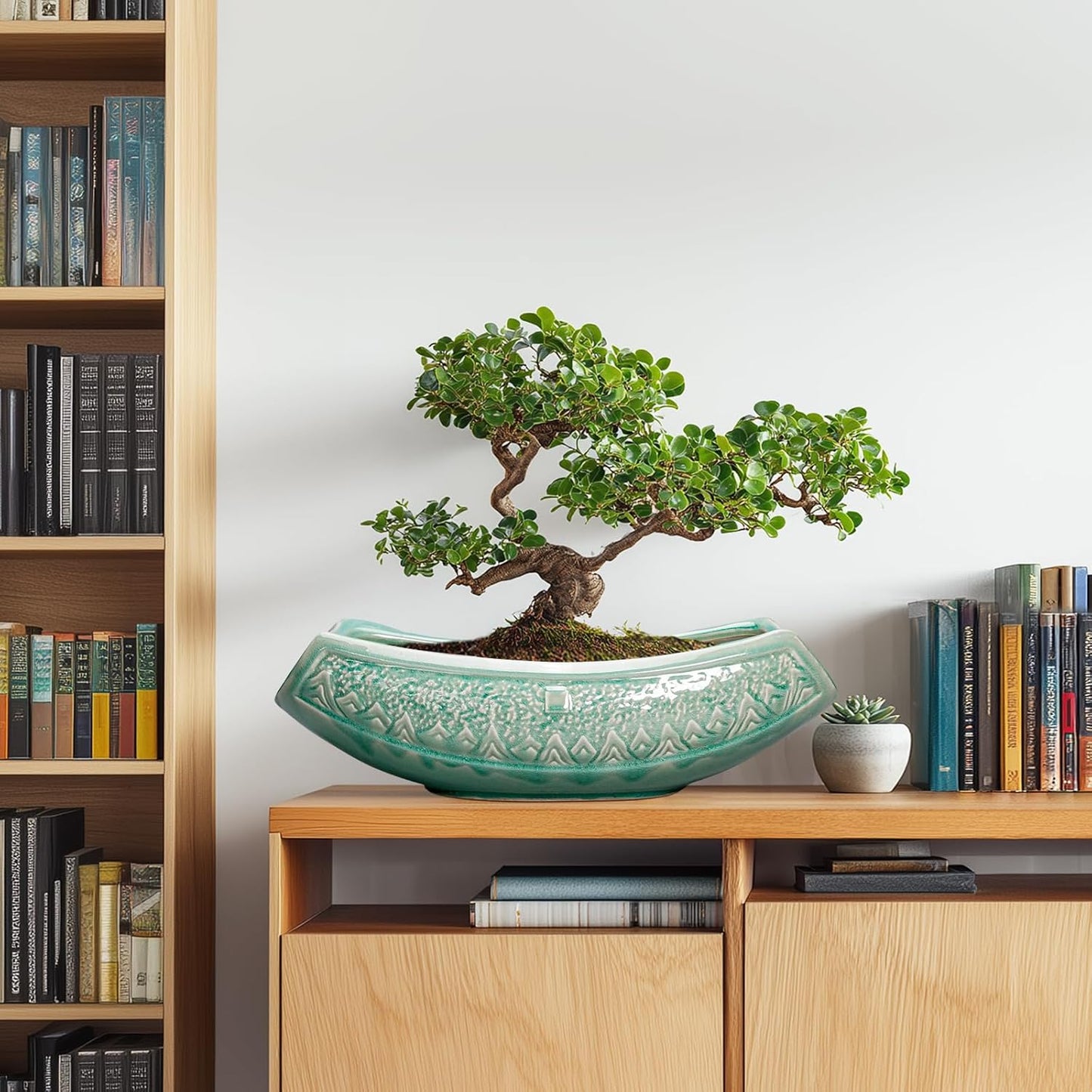 Bonsai Tree Pot - 18 Inch Ceramic Succulent Pots for Indoor Outdoor, Large Bonsai Planter with Drainage Hole, Ceramic Flower Pot, Decorative Planter, Gifts for Plant Lovers, Room Decor, Green