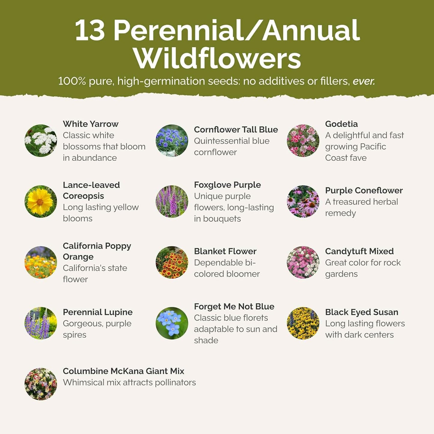 Eden Brothers Deer Resistant Wildflower Mixed Seeds for Planting, 1 lb, 480,000+ Seeds with Foxglove, Forget Me Not | Attracts Pollinators, Plant in Spring or Fall, Zones 3, 4, 5, 6, 7, 8, 9, 10