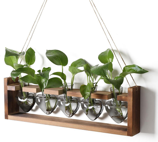 Plant Terrarium Hanging Propagation Stations Gift for Women Air Plants Holder with Wooden Stand Heart Glass
