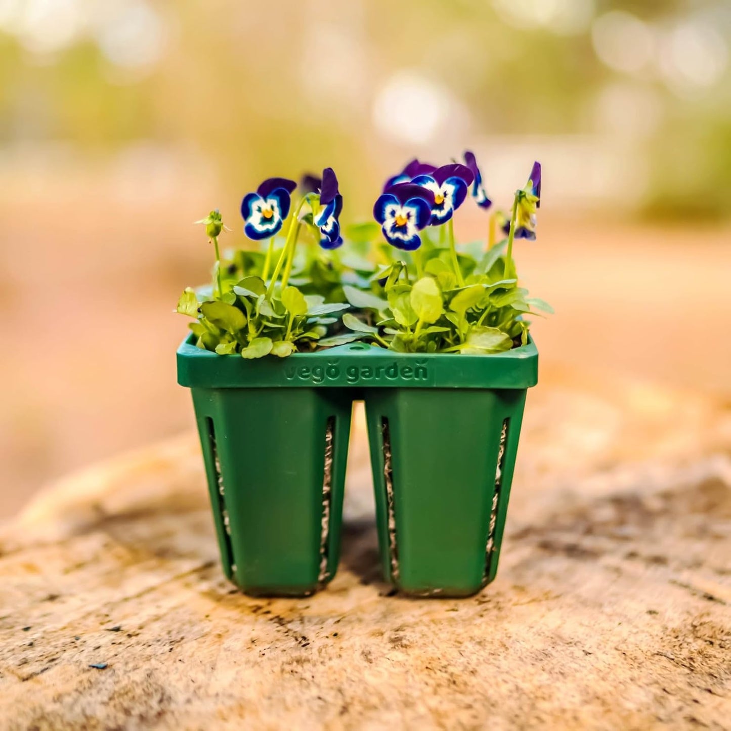 Vego garden Jumbo Seedling Trays Without Lids, 16 Pack Reusable Propagator Growing Starter Tray for Larger Plants, Heavy-Duty Plastic Germination Trays (4-Cell per Tray)