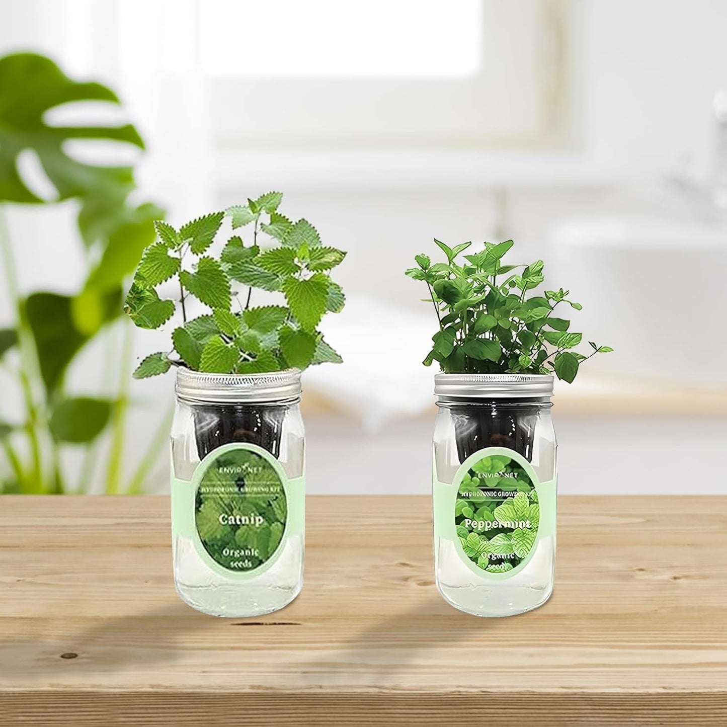 2-Pack Hydroponic Mason Jar Herb Garden Kit, Indoor Herb Garden Self-Watering Starter Kit (Catnip,Peppermint)