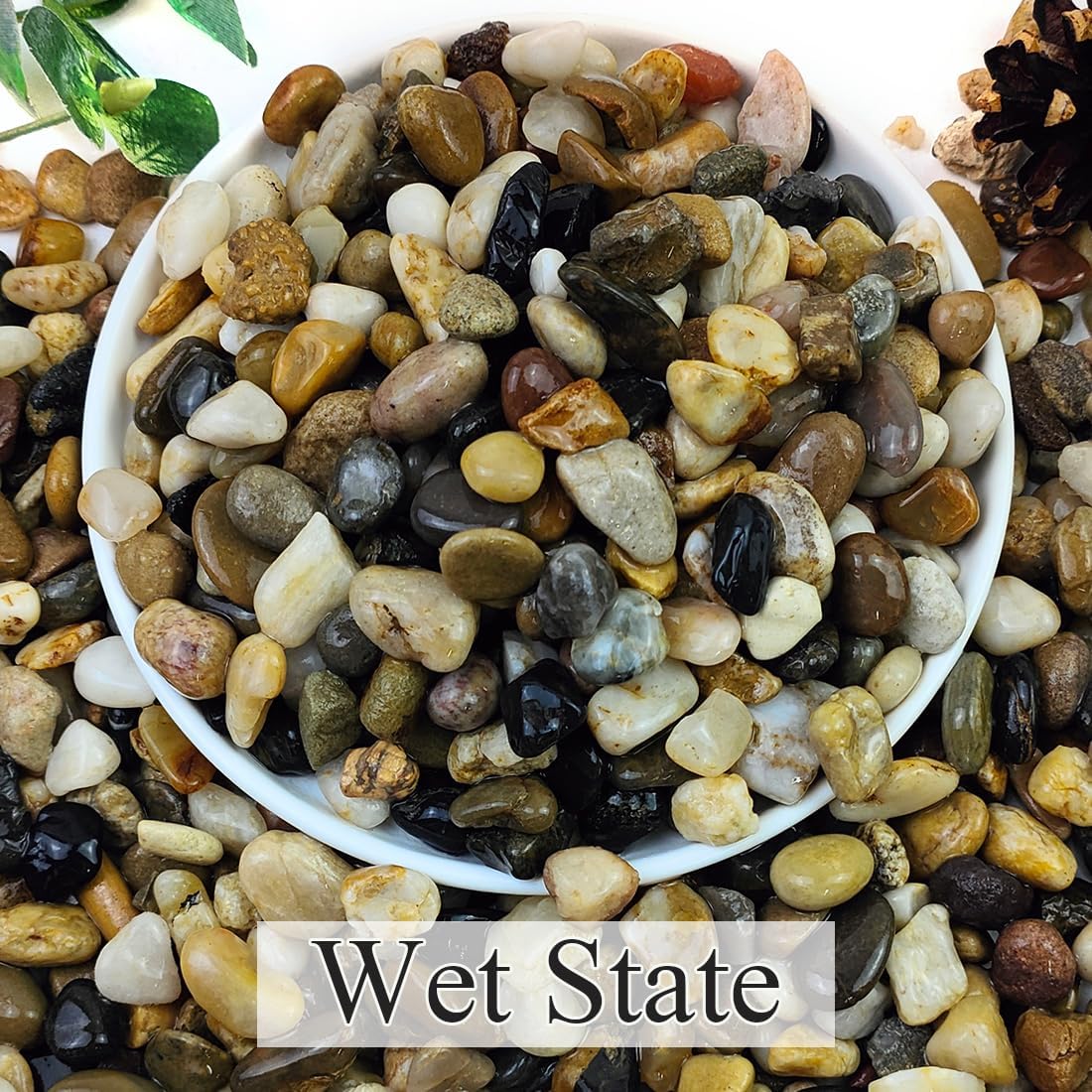 5lbs Natural River Rocks for Plants, 3/8" Aquarium Gravel Decorative Polished Mixed Pebbles for Fish Tank, Gardening, Flower Pots, Vase Fillers, Indoor Water Fountains, Landscaping