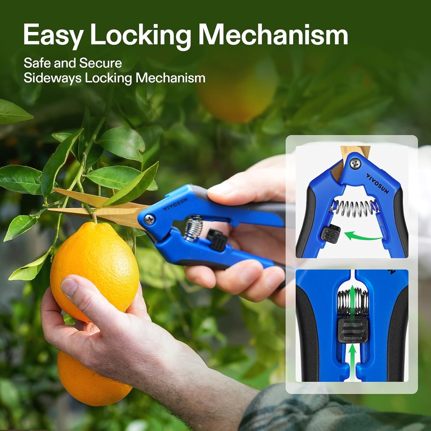 VIVOSUN 6-Pack 6.5 Inch Gardening Scissors Hand Pruner Pruning Shear with Titanium Coated Curved Precision Blades