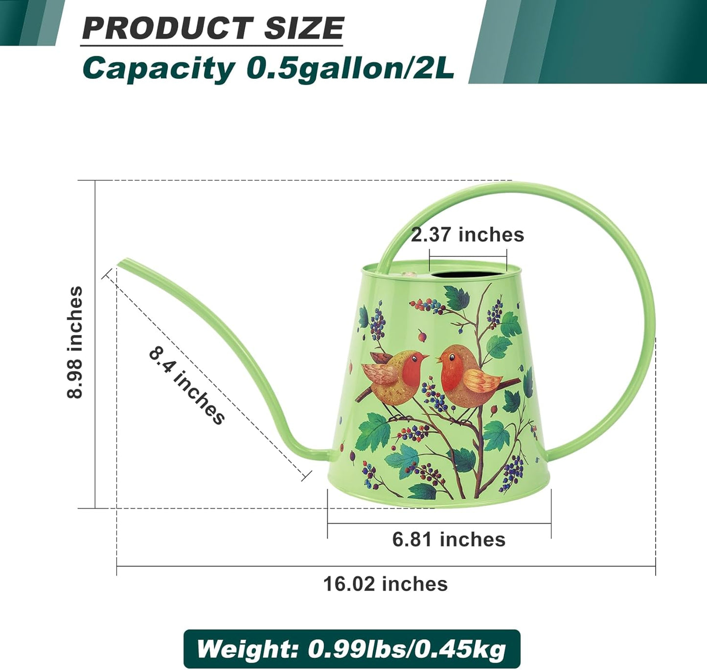 Berry&Bird House Plants Watering Can - Indoor & Outdoor 1/2 Gallon Stainless Steel Water Can with Long Spout Garden Decoration for Flower Bonsai Succulent Gardening Large Watwer Bottle(2L/Robin)