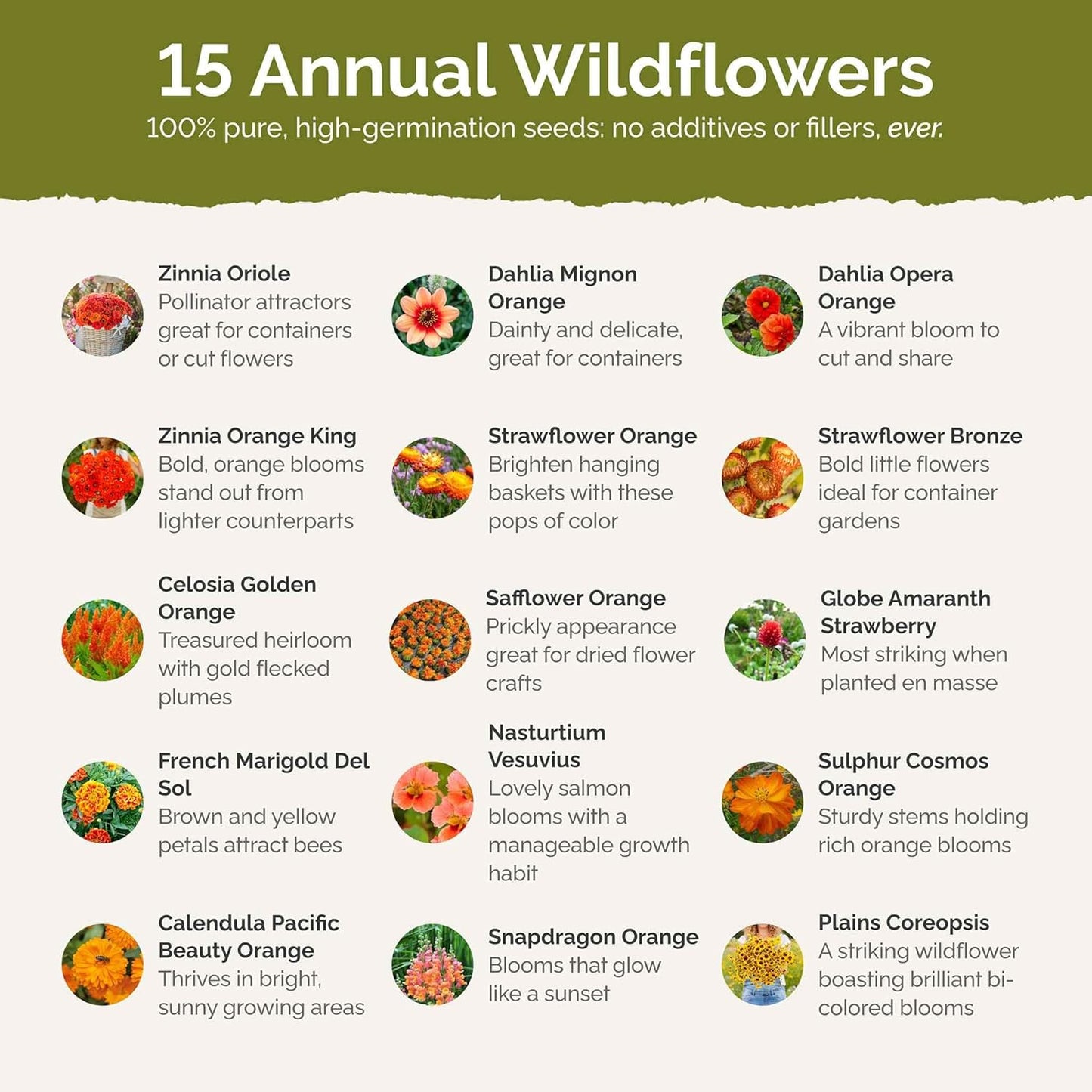 Eden Brothers Orange You Glad Flower Mixed Seeds for Planting, 5 lb, 2,400,000+ Seeds with Dahlia, Double Strawflower | Attracts Pollinators, Plant in Spring or Fall, Zones 3, 4, 5, 6, 7, 8, 9, 10