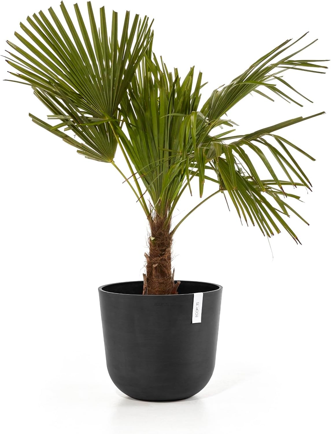 Ecopots Oslo Durable Modern Round Indoor/Outdoor Recycled-Based Composite Flower Pot Planter, Dark Grey, 14"