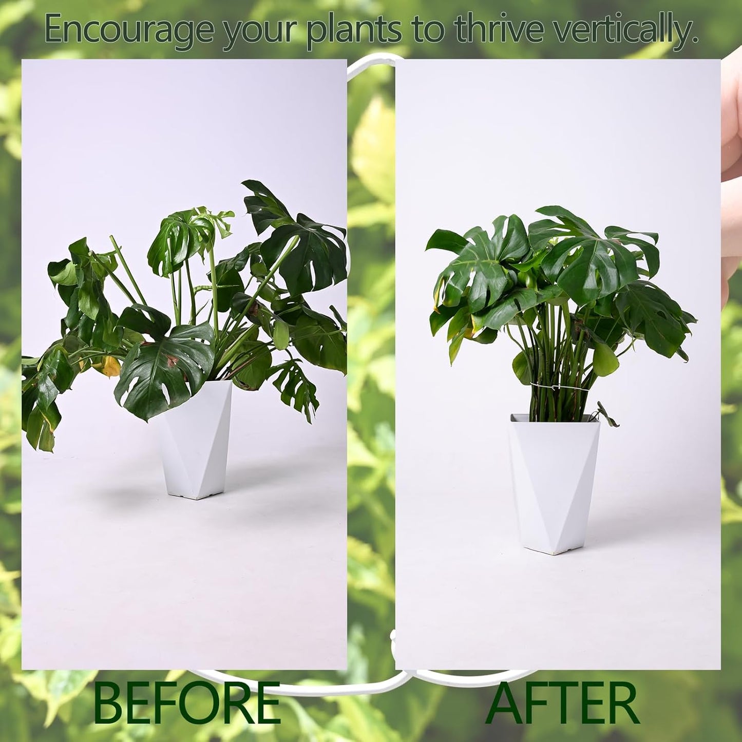 White Monstera Plant Stem Support - 5PCS 7.3x6.25in Durable Adjustable Garden Stake for Indoor Plants, Fishbone Cactus Holder, Innovative Leaf Clip Set, Ideal Tool for Healthy Plant Growth